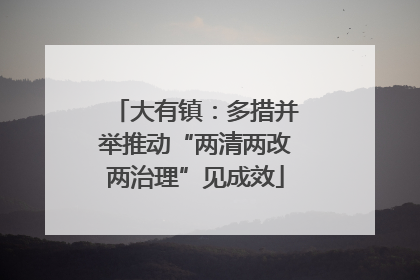 大有镇：多措并举推动“两清两改两治理”见成效