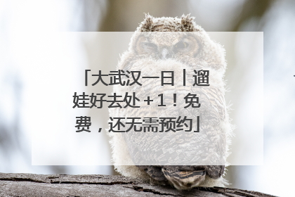 大武汉一日︱遛娃好去处＋1！免费，还无需预约