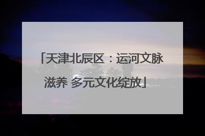 天津北辰区：运河文脉滋养 多元文化绽放