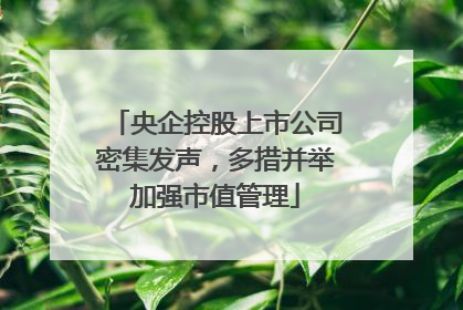 央企控股上市公司密集发声，多措并举加强市值管理
