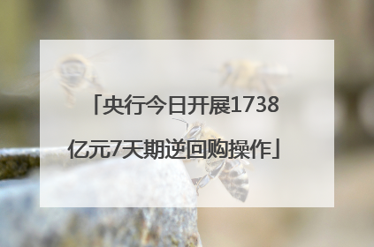 央行今日开展1738亿元7天期逆回购操作