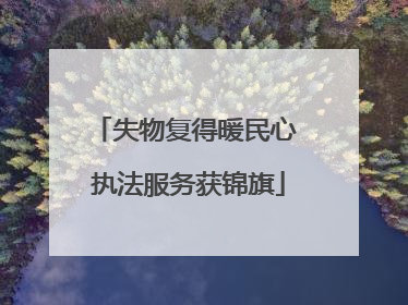 失物复得暖民心 执法服务获锦旗
