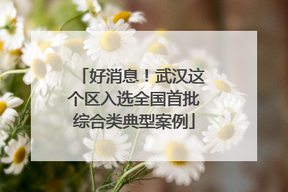 好消息!武汉这个区入选全国首批综合类典型案例