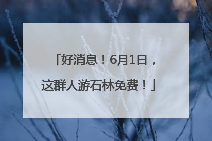 好消息！6月1日，这群人游石林免费！