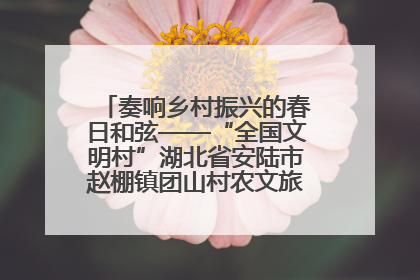 奏响乡村振兴的春日和弦——“全国文明村”湖北省安陆市赵棚镇团山村农文旅融合发展见闻