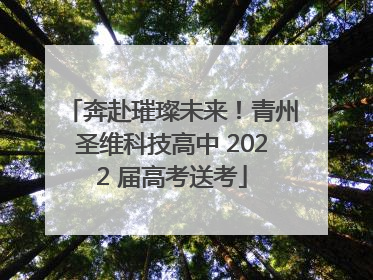 奔赴璀璨未来！青州圣维科技高中 2022 届高考送考