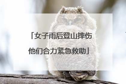 女子雨后登山摔伤 他们合力紧急救助