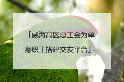 威海高区总工会为单身职工搭建交友平台