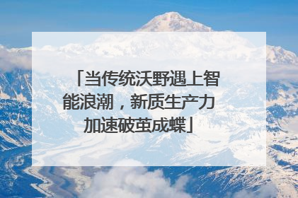 当传统沃野遇上智能浪潮，新质生产力加速破茧成蝶