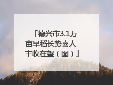 德兴市3.1万亩早稻长势喜人 丰收在望（图）