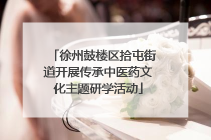 徐州鼓楼区拾屯街道开展传承中医药文化主题研学活动
