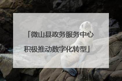 微山县政务服务中心积极推动数字化转型