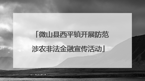 微山县西平镇开展防范涉农非法金融宣传活动