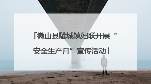 微山县驩城镇妇联开展“安全生产月”宣传活动