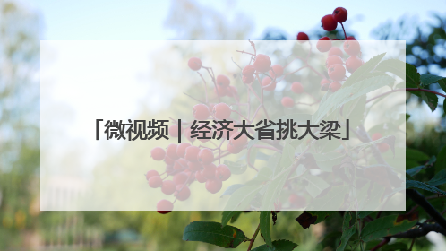 微视频｜经济大省挑大梁