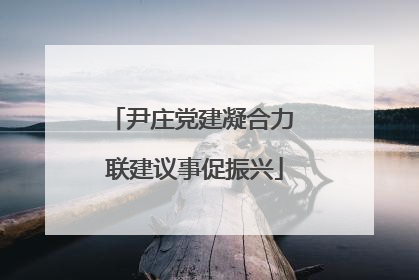 尹庄党建凝合力 联建议事促振兴
