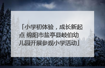 小学初体验，成长新起点 绵阳市盐亭县岐伯幼儿园开展参观小学活动
