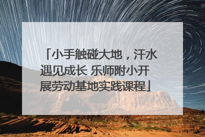 小手触碰大地，汗水遇见成长 乐师附小开展劳动基地实践课程