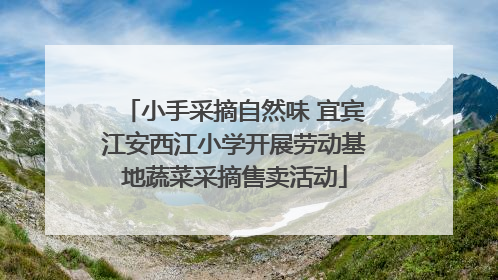 小手采摘自然味 宜宾江安西江小学开展劳动基地蔬菜采摘售卖活动