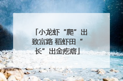 小龙虾“爬”出致富路 稻虾田“长”出金疙瘩