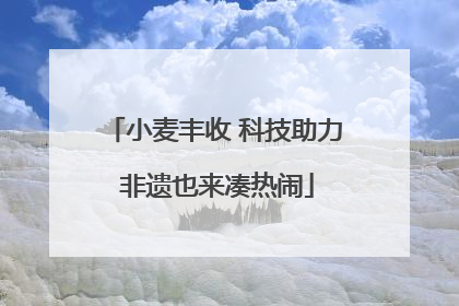 小麦丰收 科技助力 非遗也来凑热闹