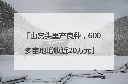 山窝头里产良种，600多亩地增收近20万元