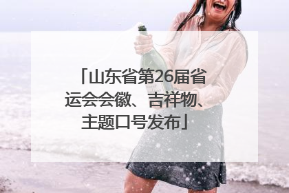 山东省第26届省运会会徽、吉祥物、主题口号发布