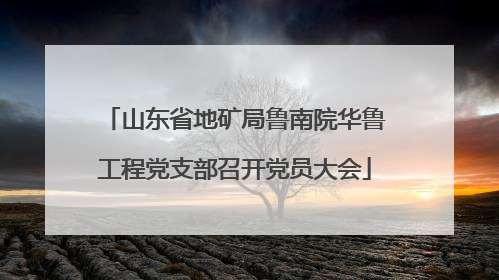 山东省地矿局鲁南院华鲁工程党支部召开党员大会