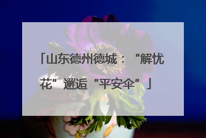 山东德州德城：“解忧花”邂逅“平安伞”