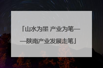 山水为墨 产业为笔——陕南产业发展走笔