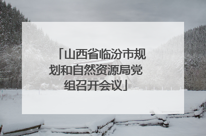 山西省临汾市规划和自然资源局党组召开会议