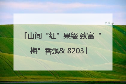 山间“红”果缀 致富“梅”香飘& 8203
