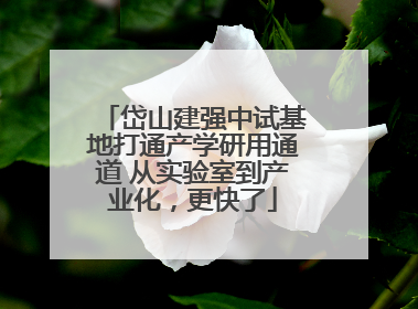 岱山建强中试基地打通产学研用通道 从实验室到产业化，更快了