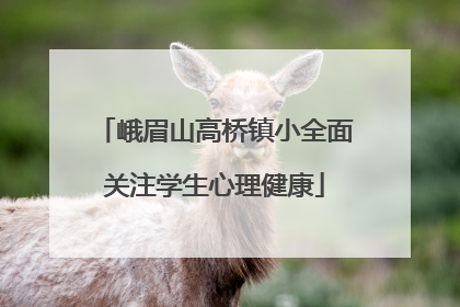 峨眉山高桥镇小全面关注学生心理健康