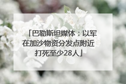巴勒斯坦媒体：以军在加沙物资分发点附近打死至少28人