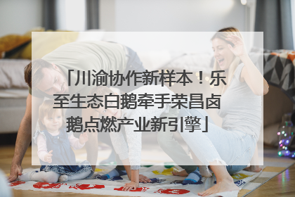 川渝协作新样本！乐至生态白鹅牵手荣昌卤鹅点燃产业新引擎