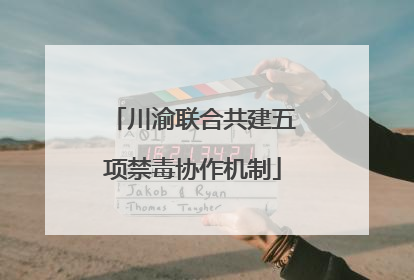 川渝联合共建五项禁毒协作机制