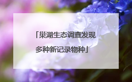 巢湖生态调查发现多种新记录物种