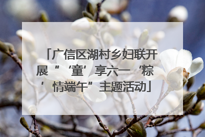 广信区湖村乡妇联开展“‘童’享六一‘粽’情端午”主题活动