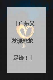 广东又发现恐龙足迹！