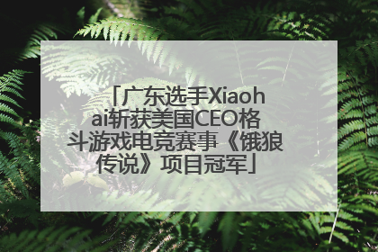广东选手Xiaohai斩获美国CEO格斗游戏电竞赛事《饿狼传说》项目冠军