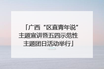 广西“区直青年说”主题宣讲暨五四示范性主题团日活动举行