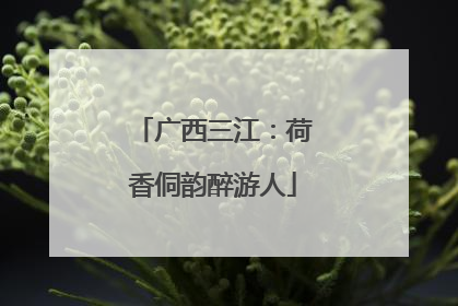 广西三江：荷香侗韵醉游人