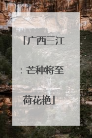广西三江：芒种将至荷花艳