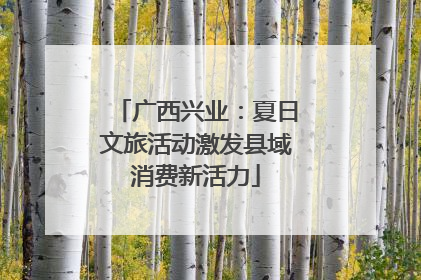 广西兴业：夏日文旅活动激发县域消费新活力