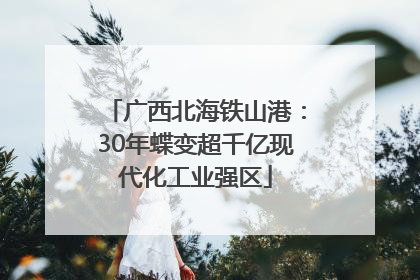 广西北海铁山港：30年蝶变超千亿现代化工业强区