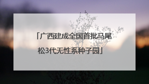 广西建成全国首批马尾松3代无性系种子园