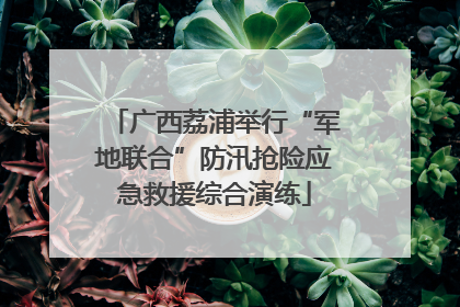 广西荔浦举行“军地联合”防汛抢险应急救援综合演练