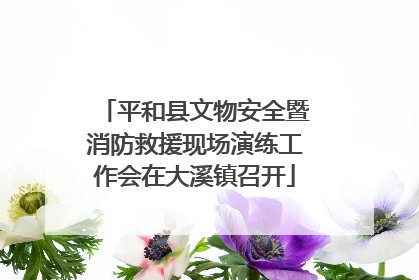 平和县文物安全暨消防救援现场演练工作会在大溪镇召开