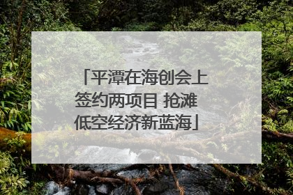 平潭在海创会上签约两项目 抢滩低空经济新蓝海